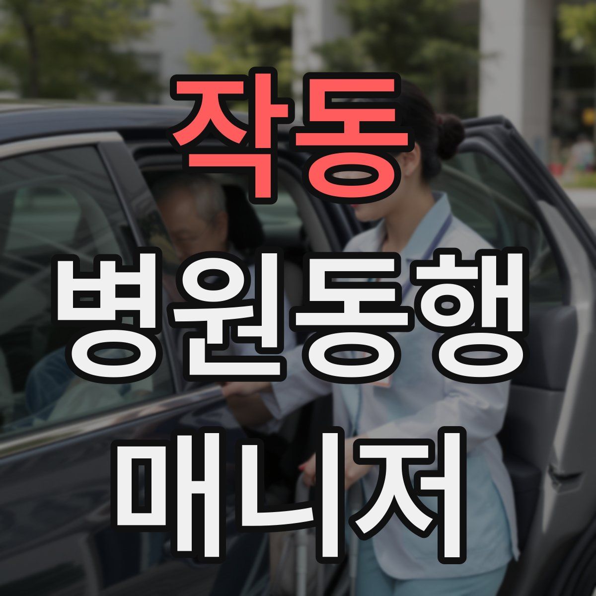 작동 병원동행매니저 자격증