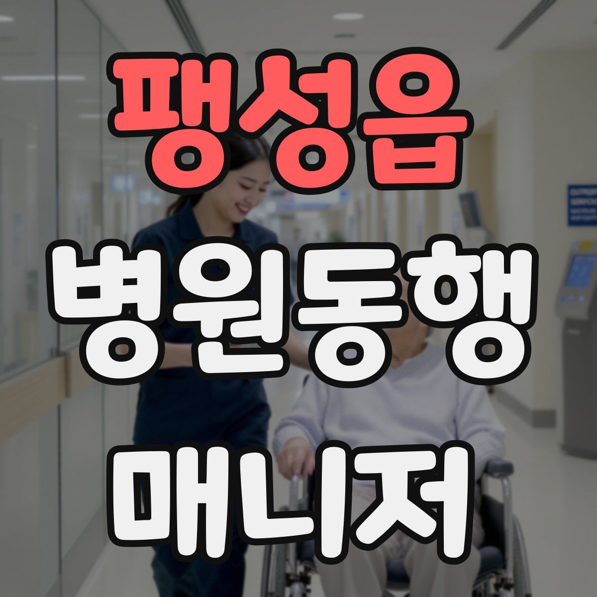 팽성읍 병원동행매니저 자격증