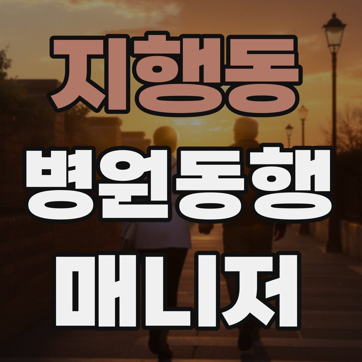 지행동 병원동행매니저 자격증