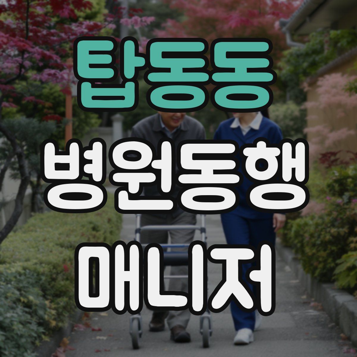 탑동동 병원동행매니저 자격증