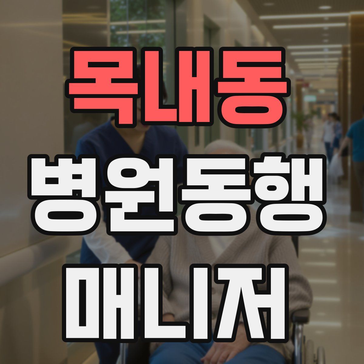 목내동 병원동행매니저 자격증