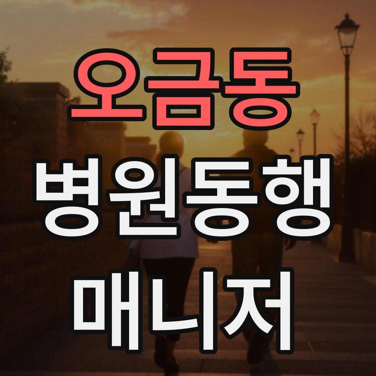 오금동 병원동행매니저 자격증 병원 안내 동선 파악이 중요한 이유