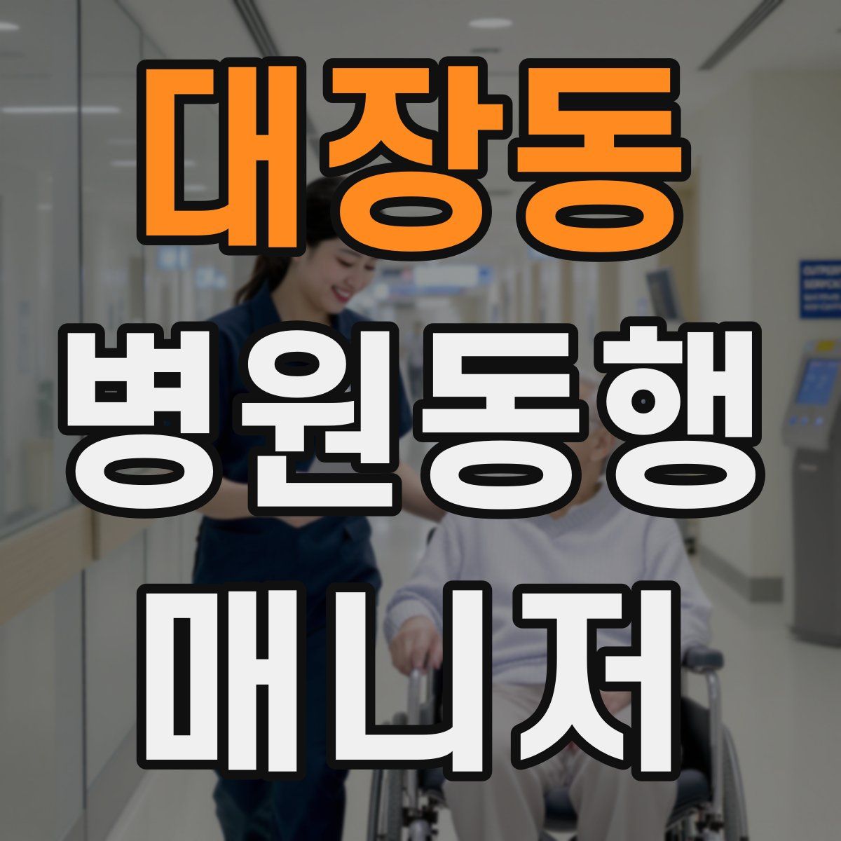 대장동 병원동행매니저 자격증