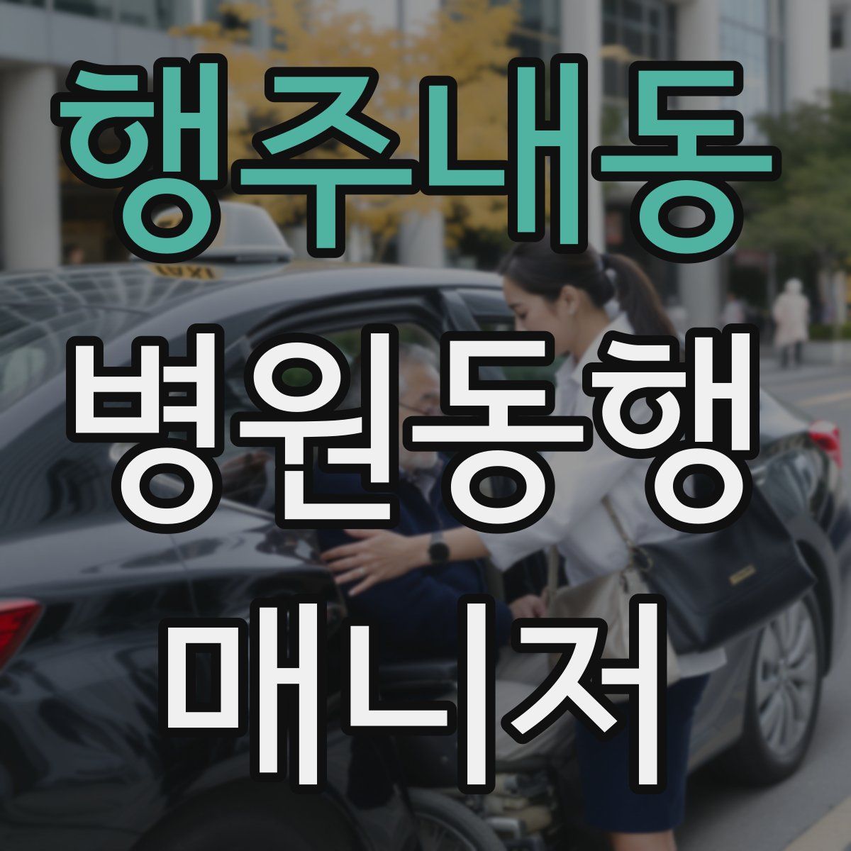 행주내동 병원동행매니저 자격증