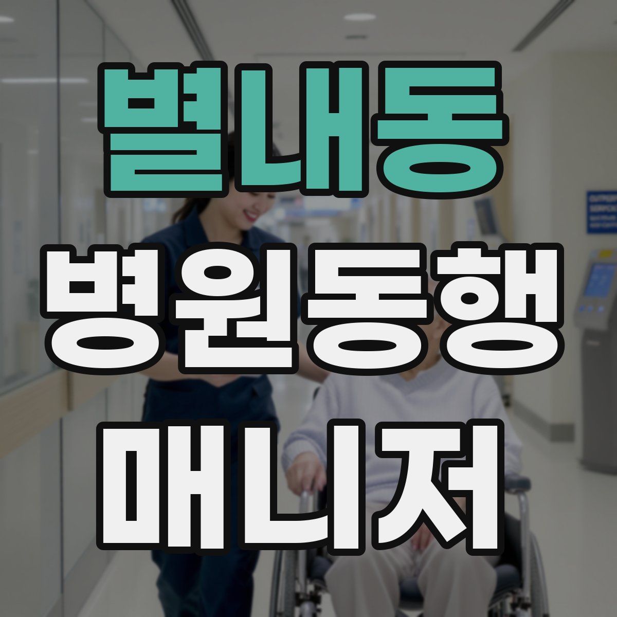 별내동 병원동행매니저 자격증