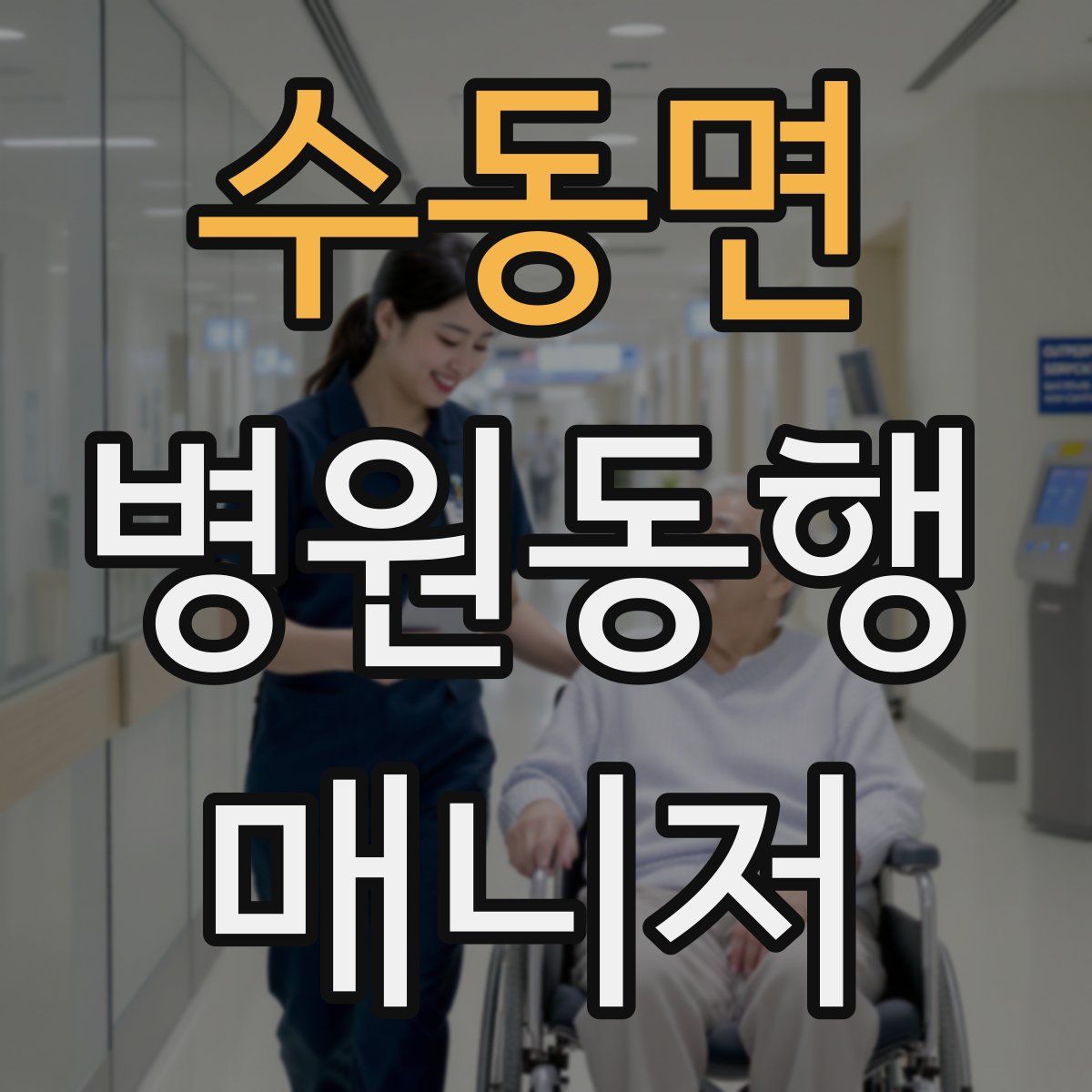 수동면 병원동행매니저 자격증