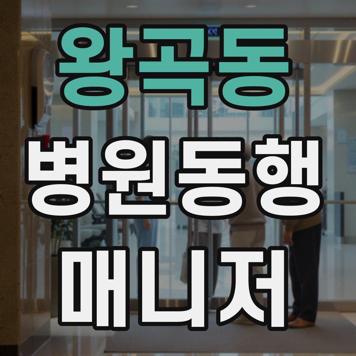 왕곡동 병원동행매니저 자격증