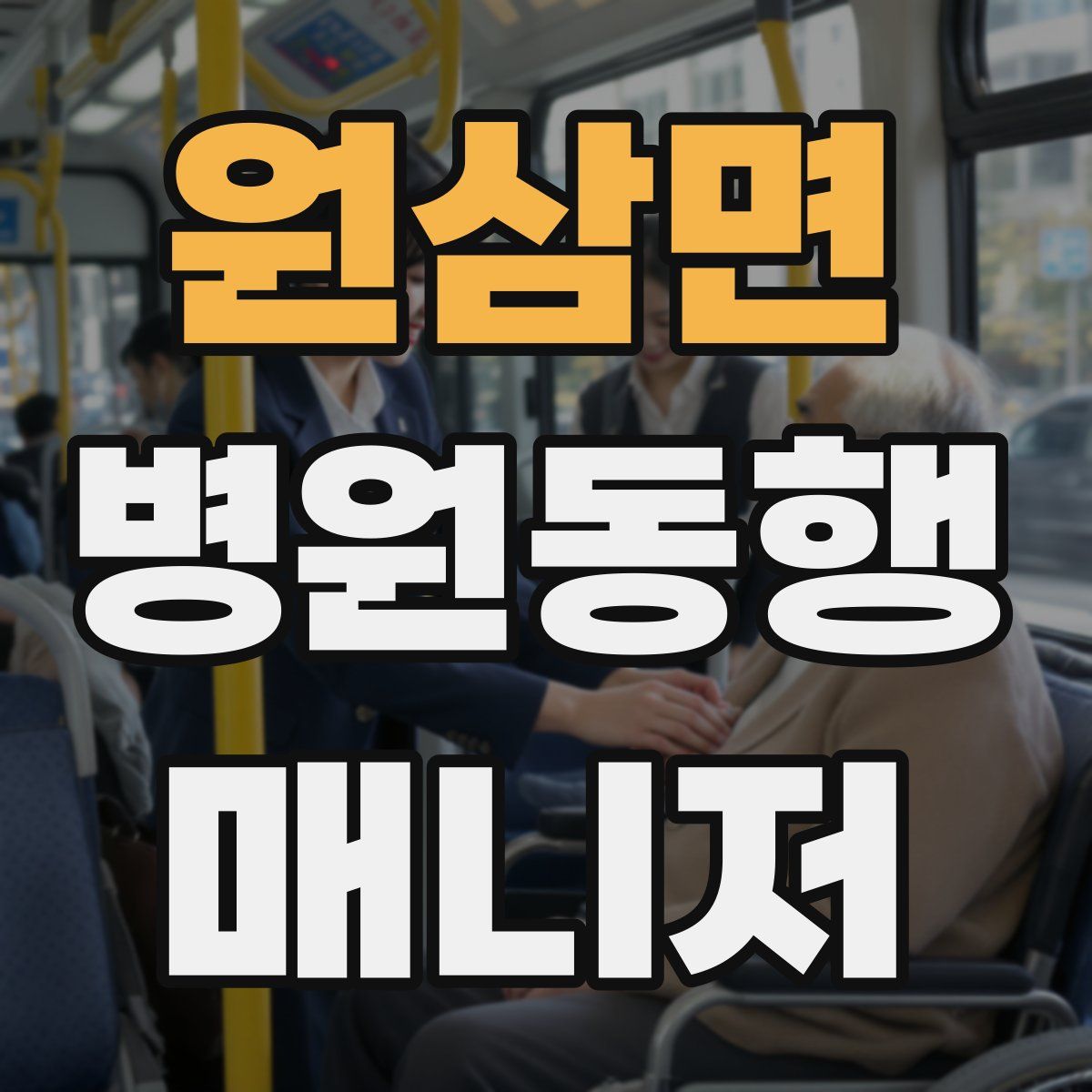 원삼면 병원동행매니저 자격증
