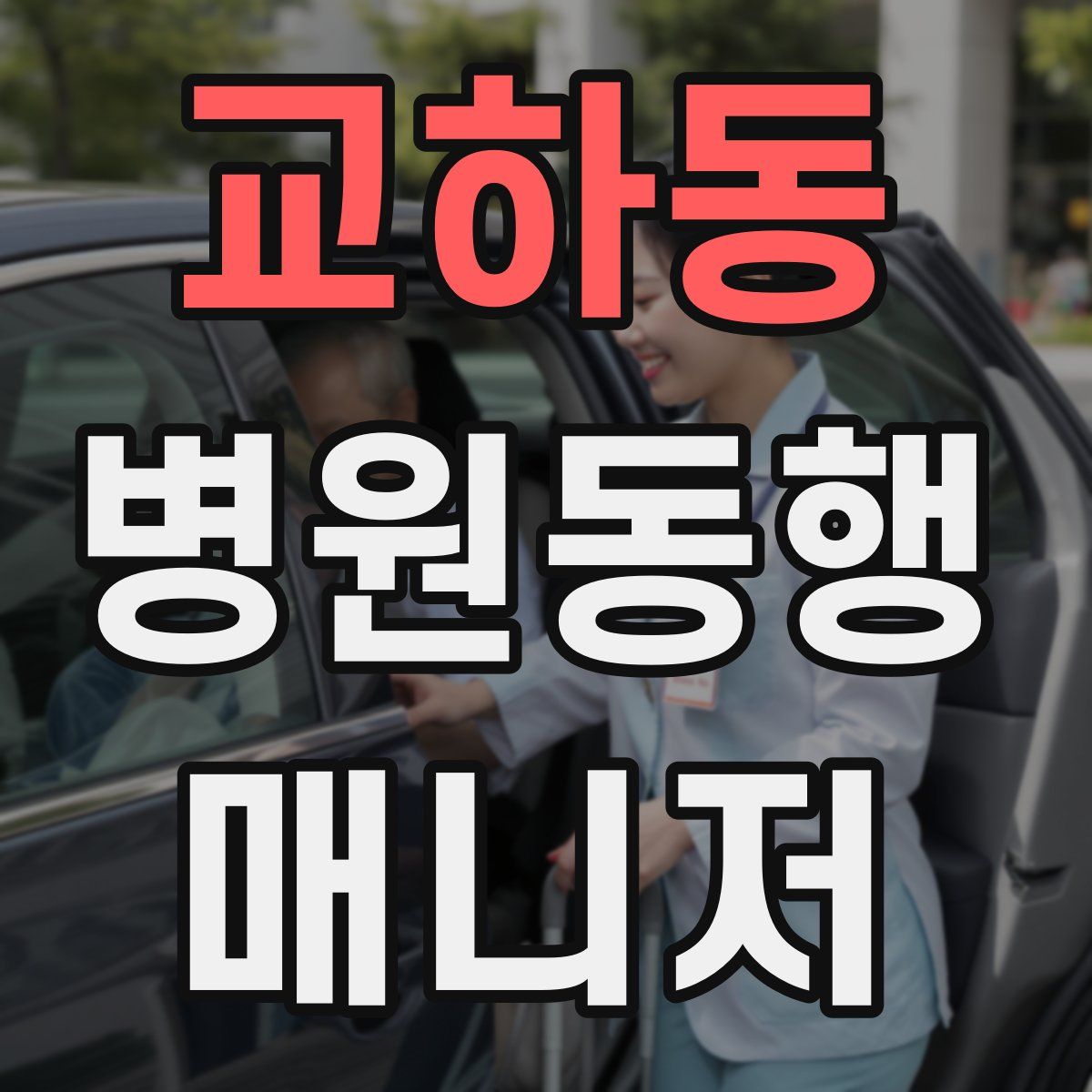 교하동 병원동행매니저 자격증