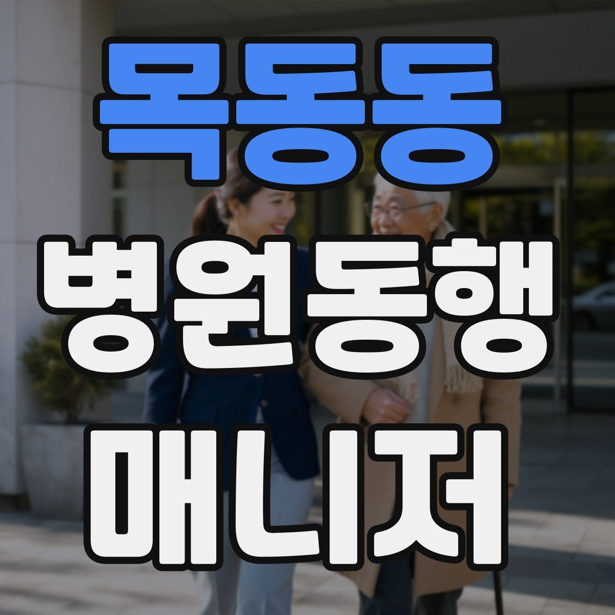 목동동 병원동행매니저 자격증
