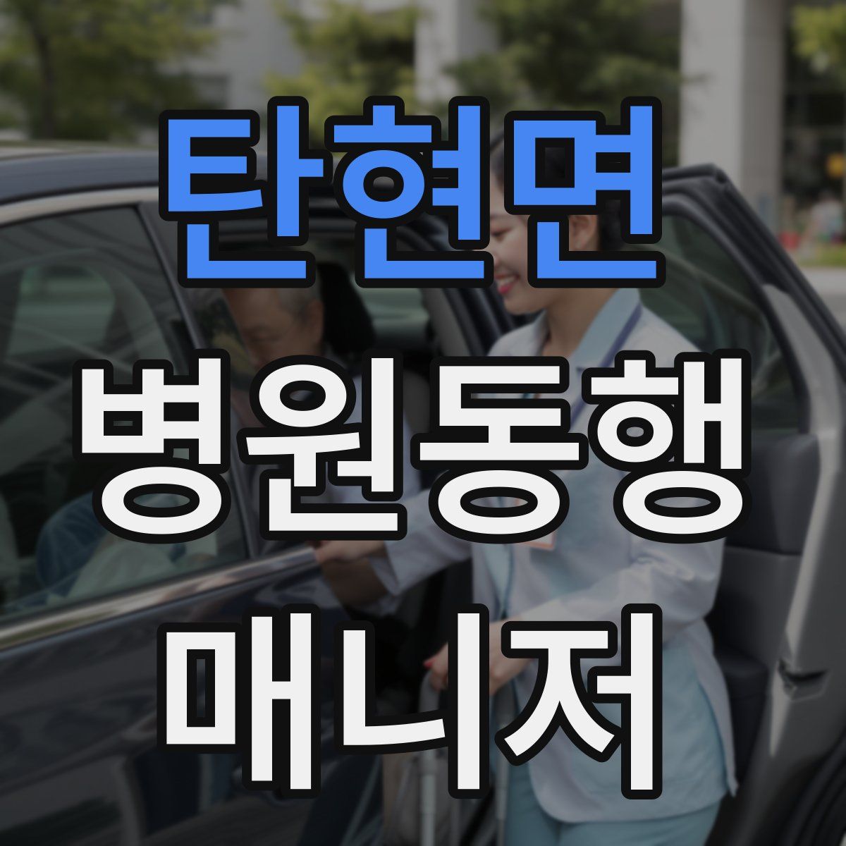 탄현면 병원동행매니저 자격증