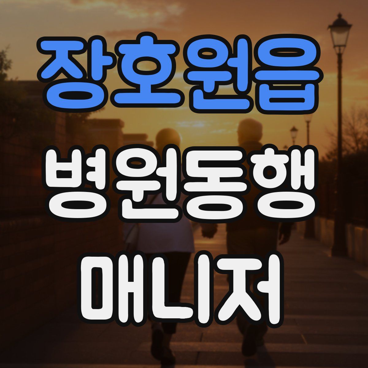 장호원읍 병원동행매니저 자격증
