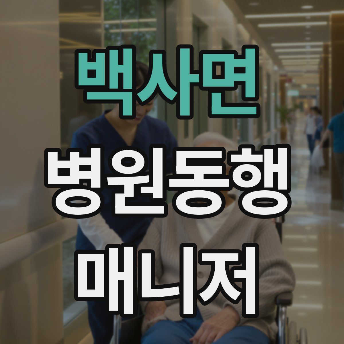 백사면 병원동행매니저 자격증