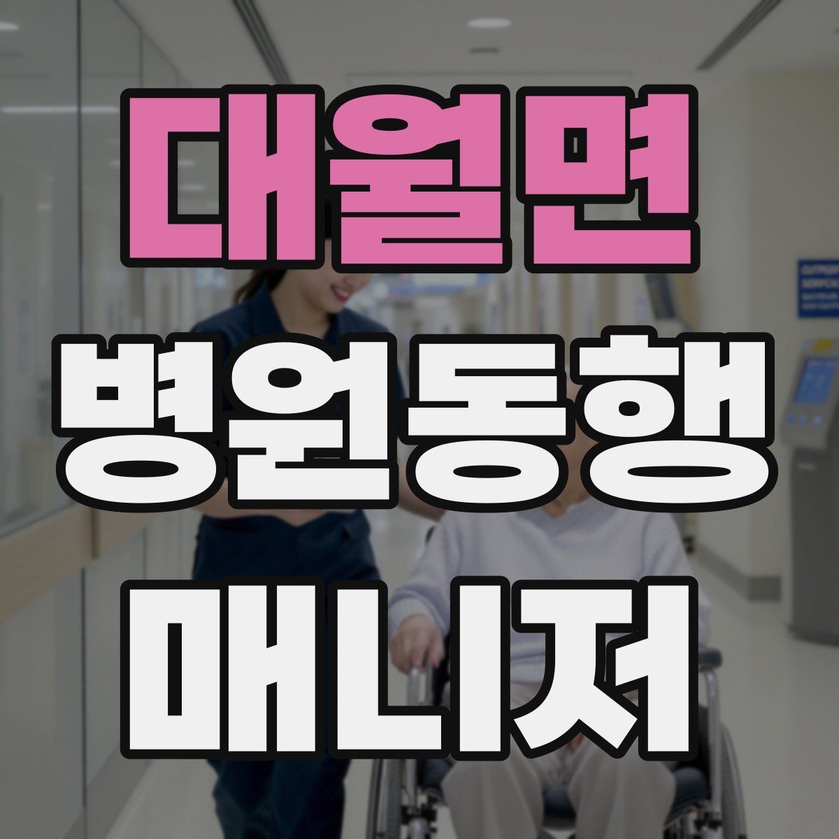 대월면 병원동행매니저 자격증