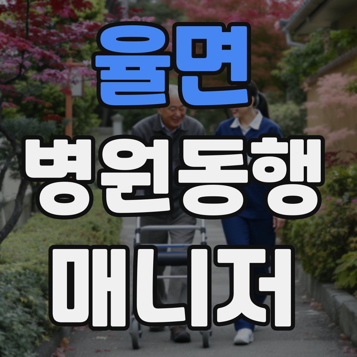 율면 병원동행매니저 자격증