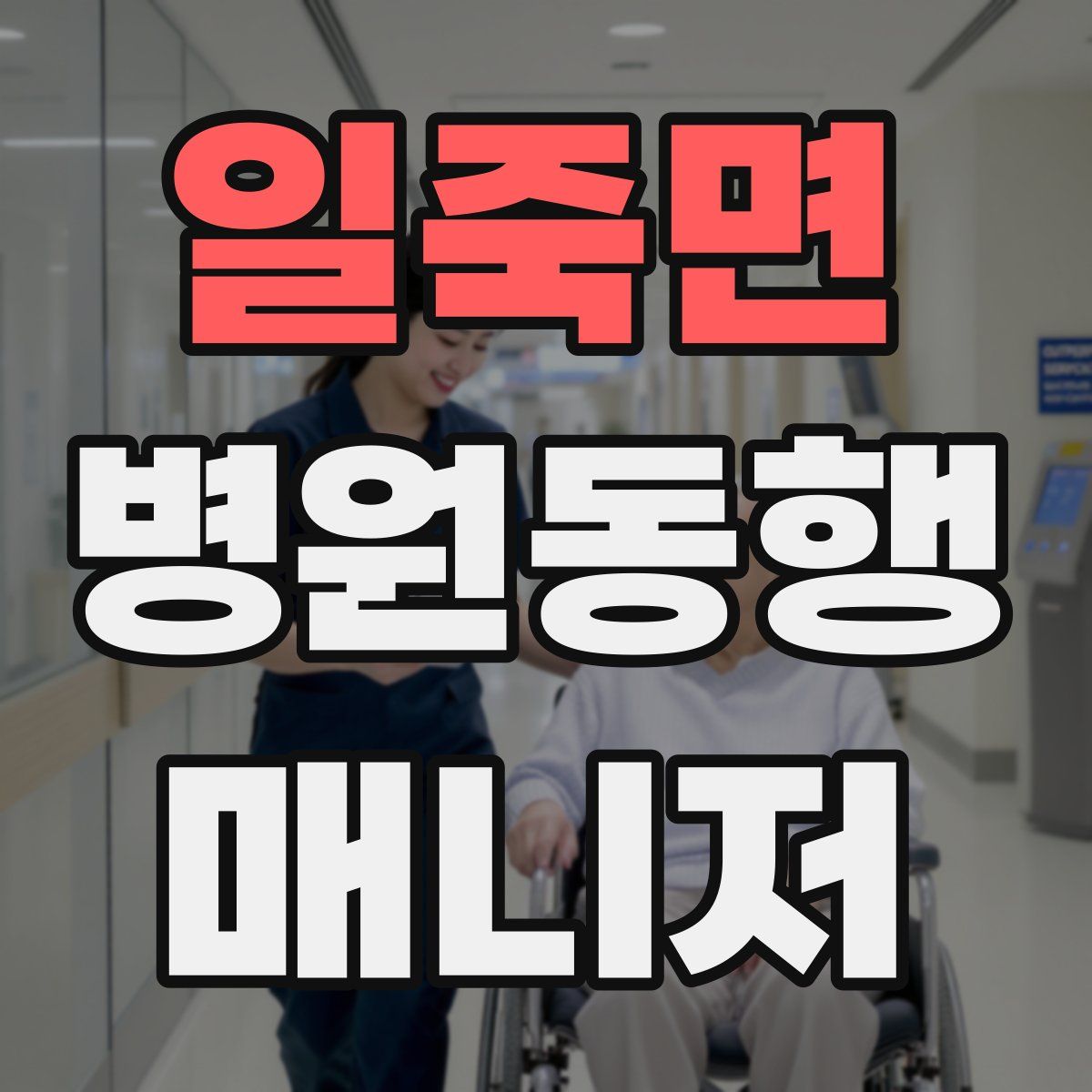 일죽면 병원동행매니저 자격증