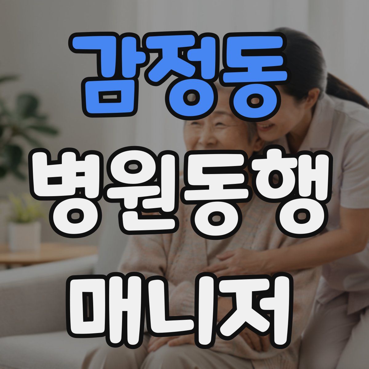 감정동 병원동행매니저 자격증
