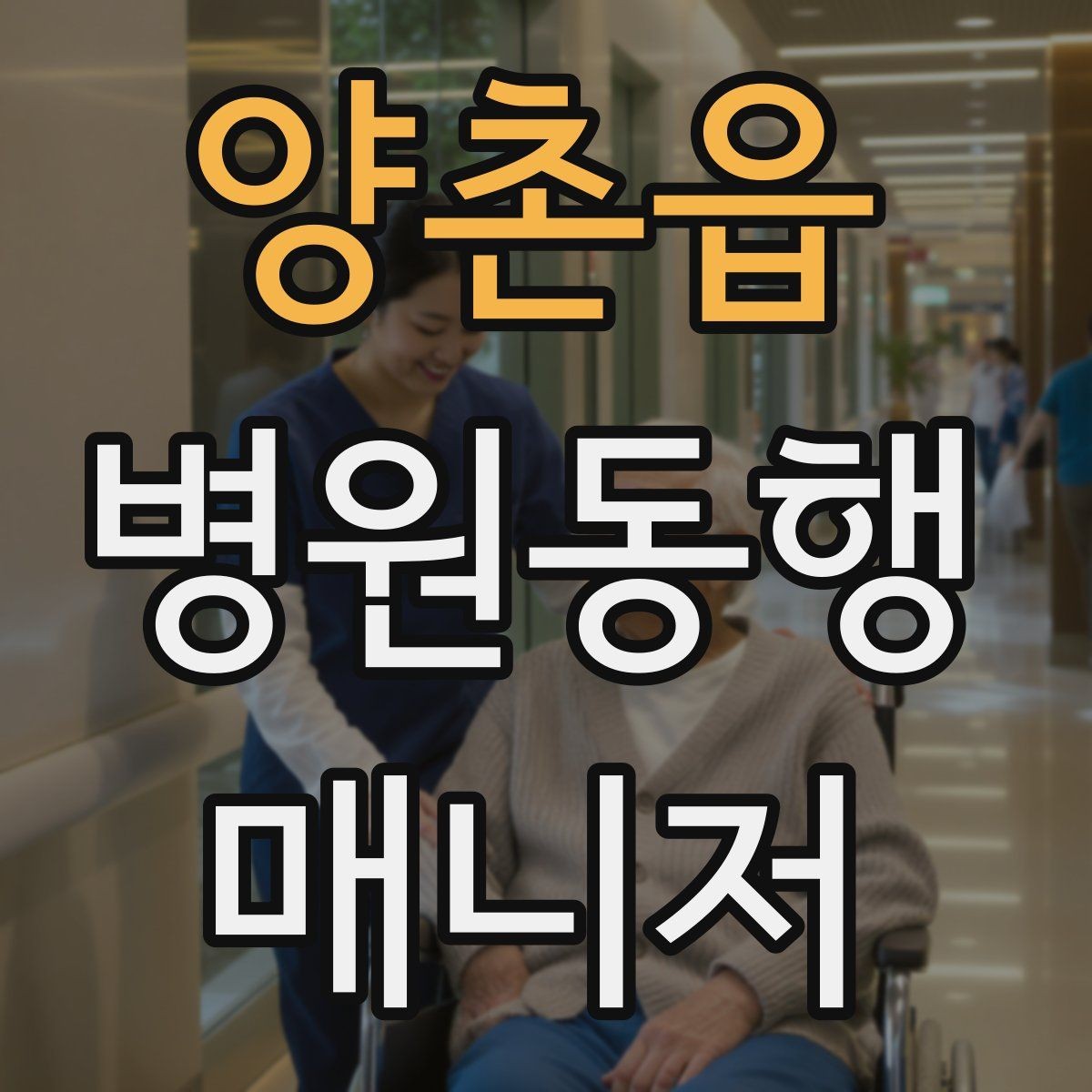 양촌읍 병원동행매니저 자격증 동행 서비스가 필요한 대표 상황