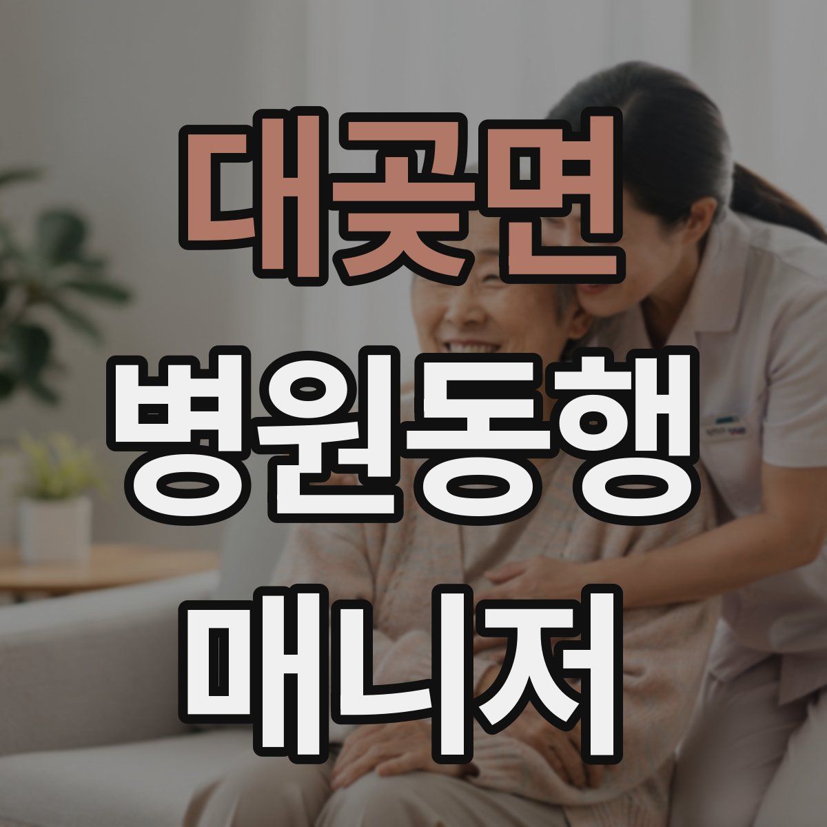 대곶면 병원동행매니저 자격증