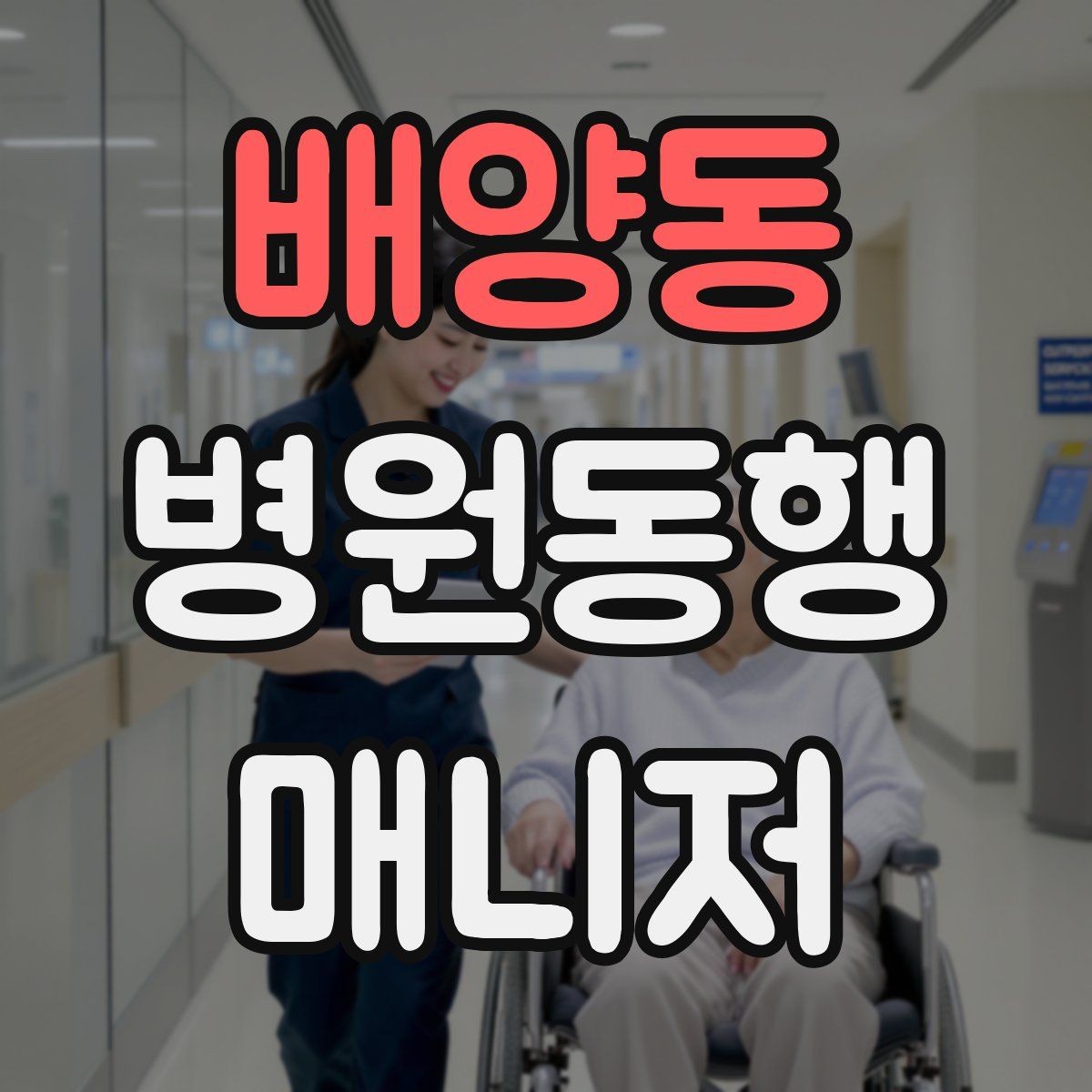 배양동 병원동행매니저 자격증 모의고사로 실전 감각 잡는 방법