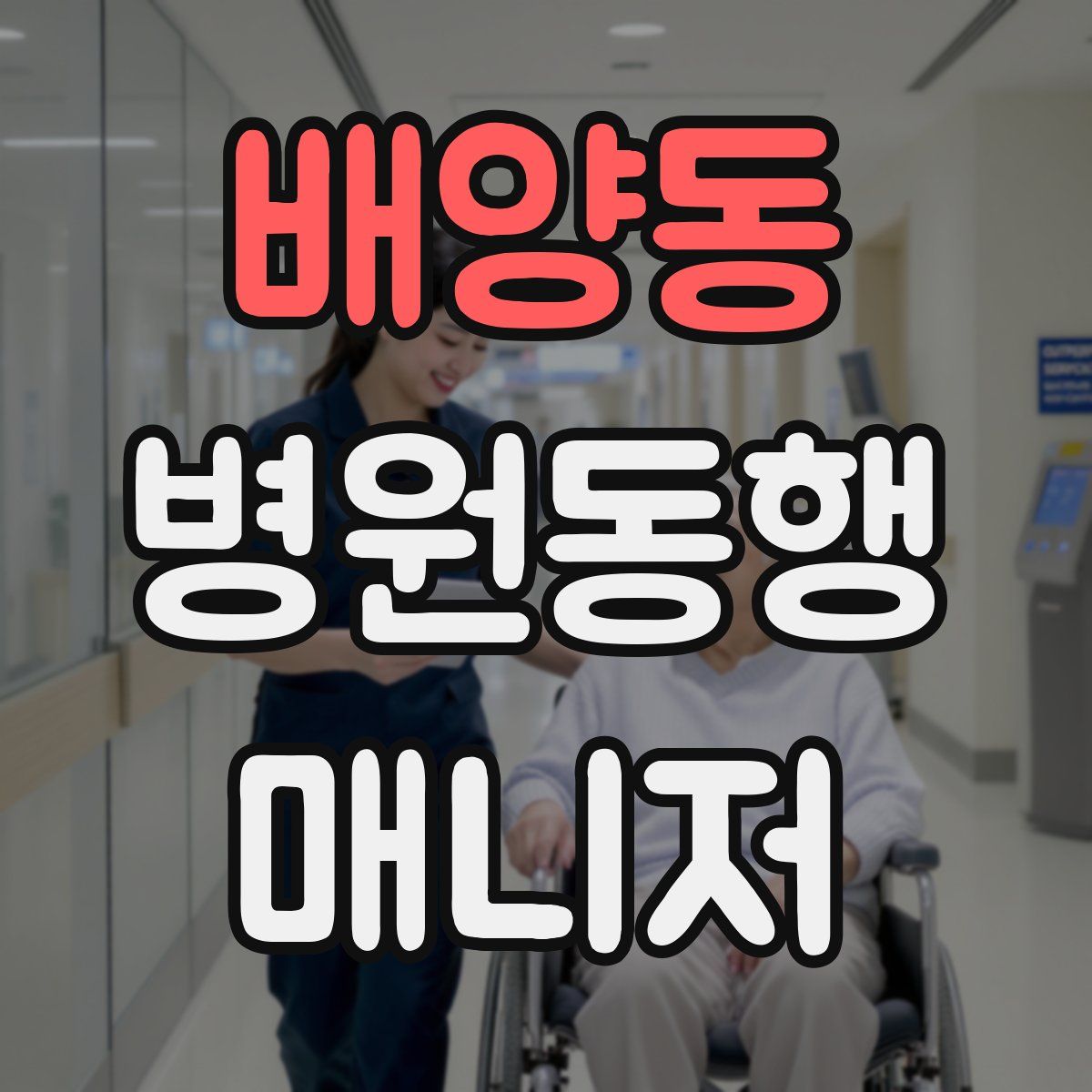 배양동 병원동행매니저 자격증