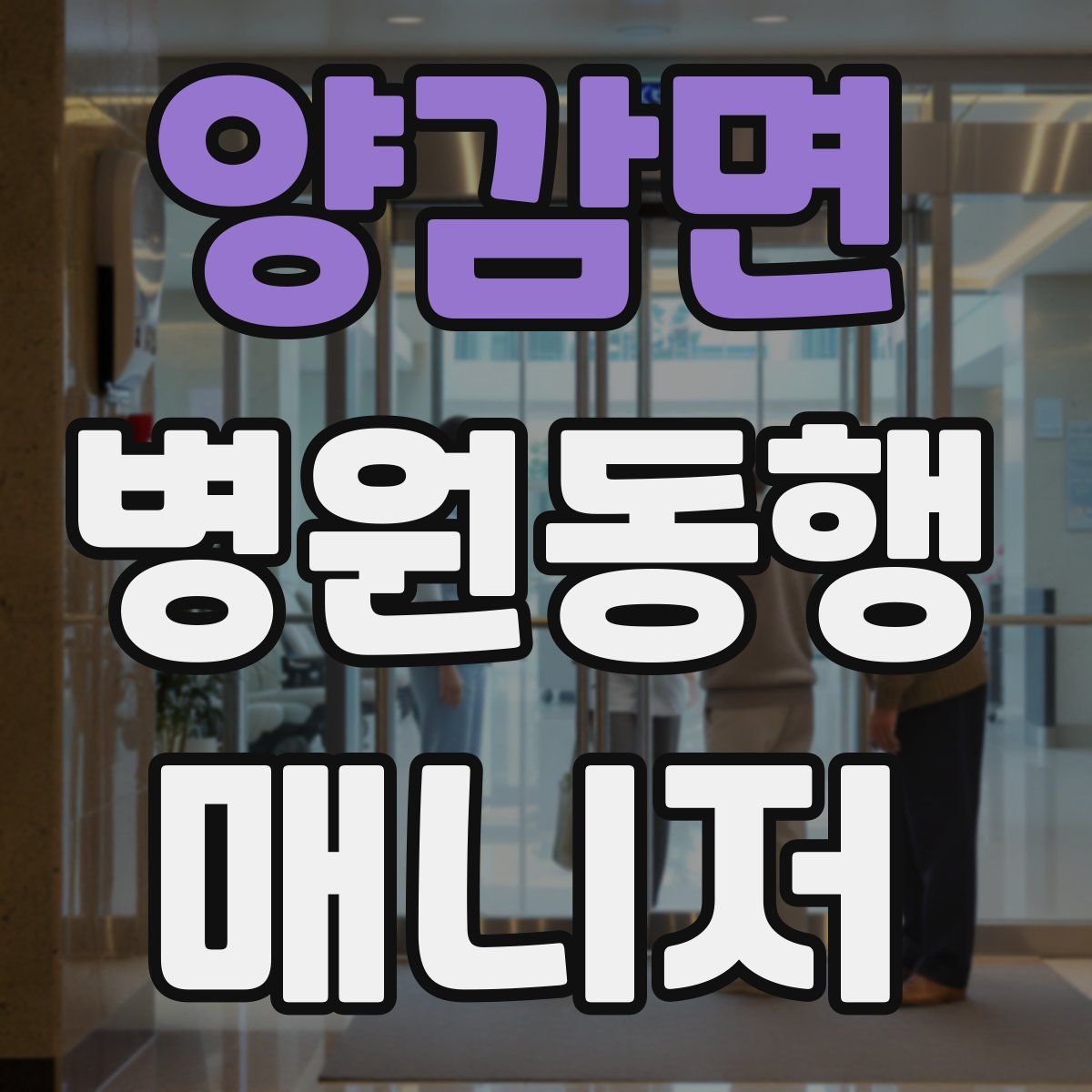 양감면 병원동행매니저 자격증