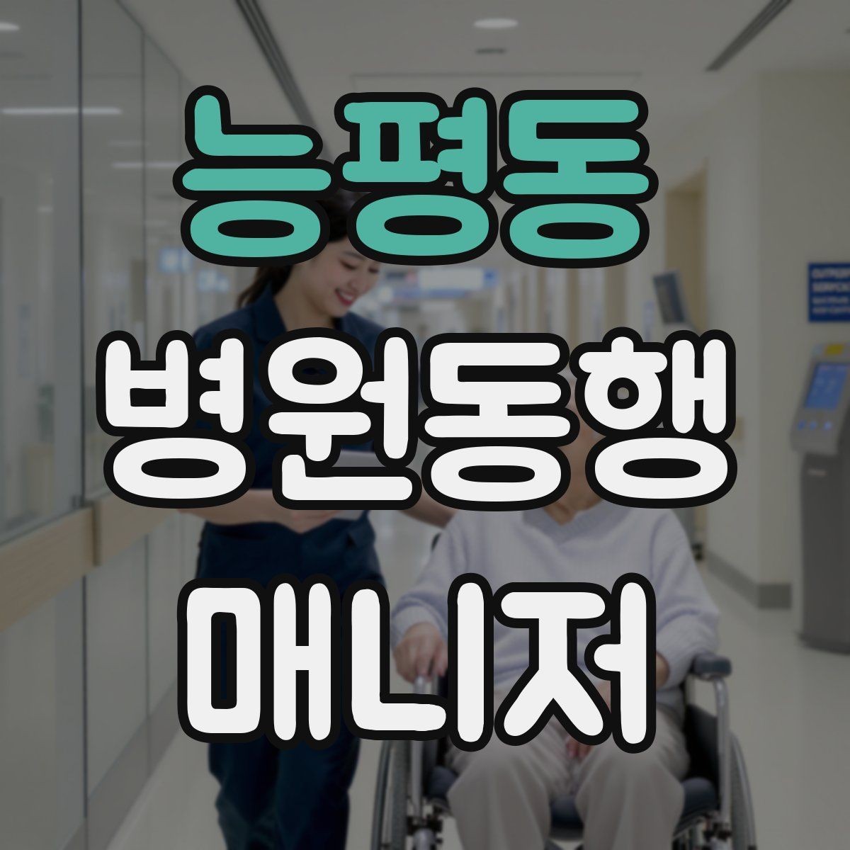 능평동 병원동행매니저 자격증 동행 범위 문구를 깔끔하게 정리하기