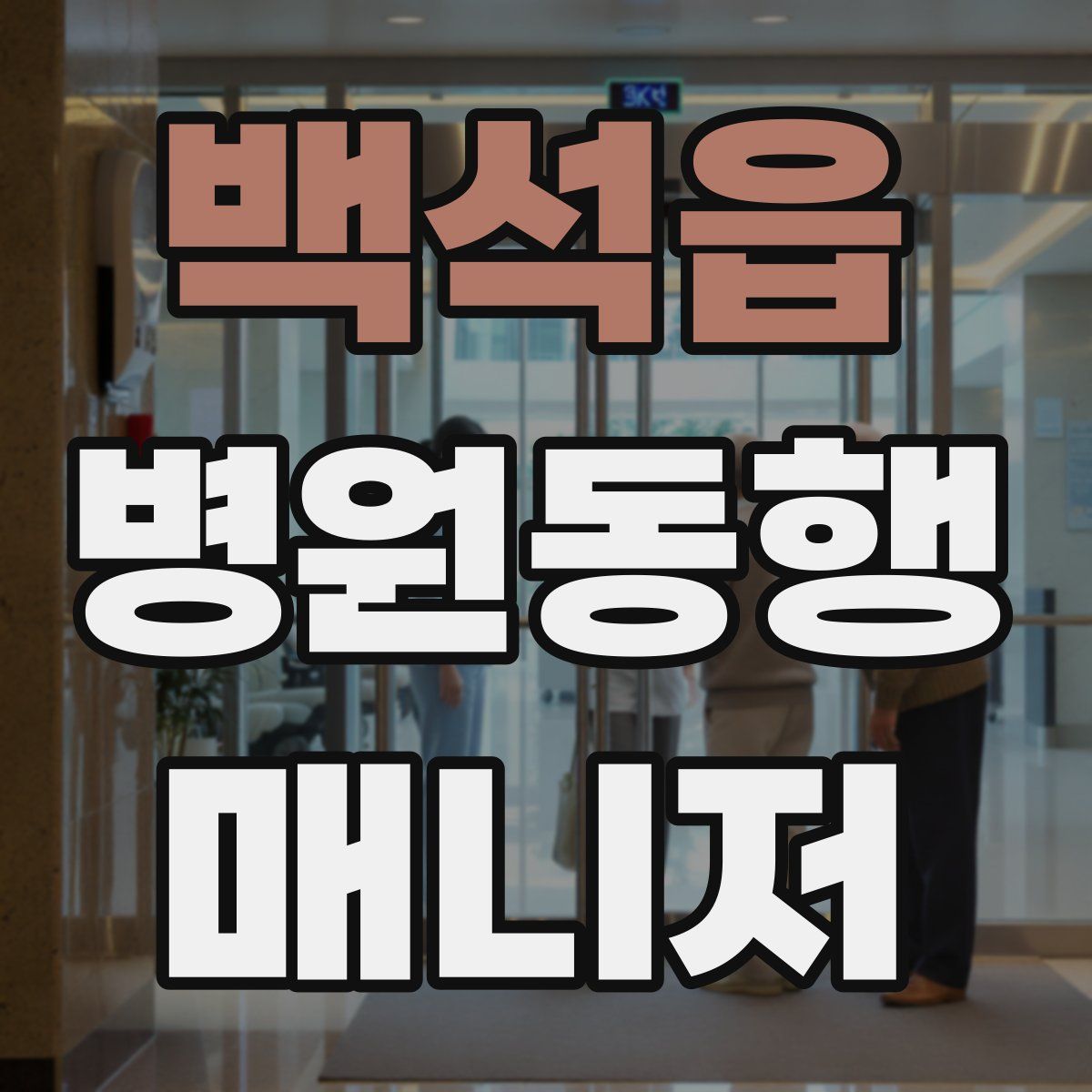 백석읍 병원동행매니저 자격증