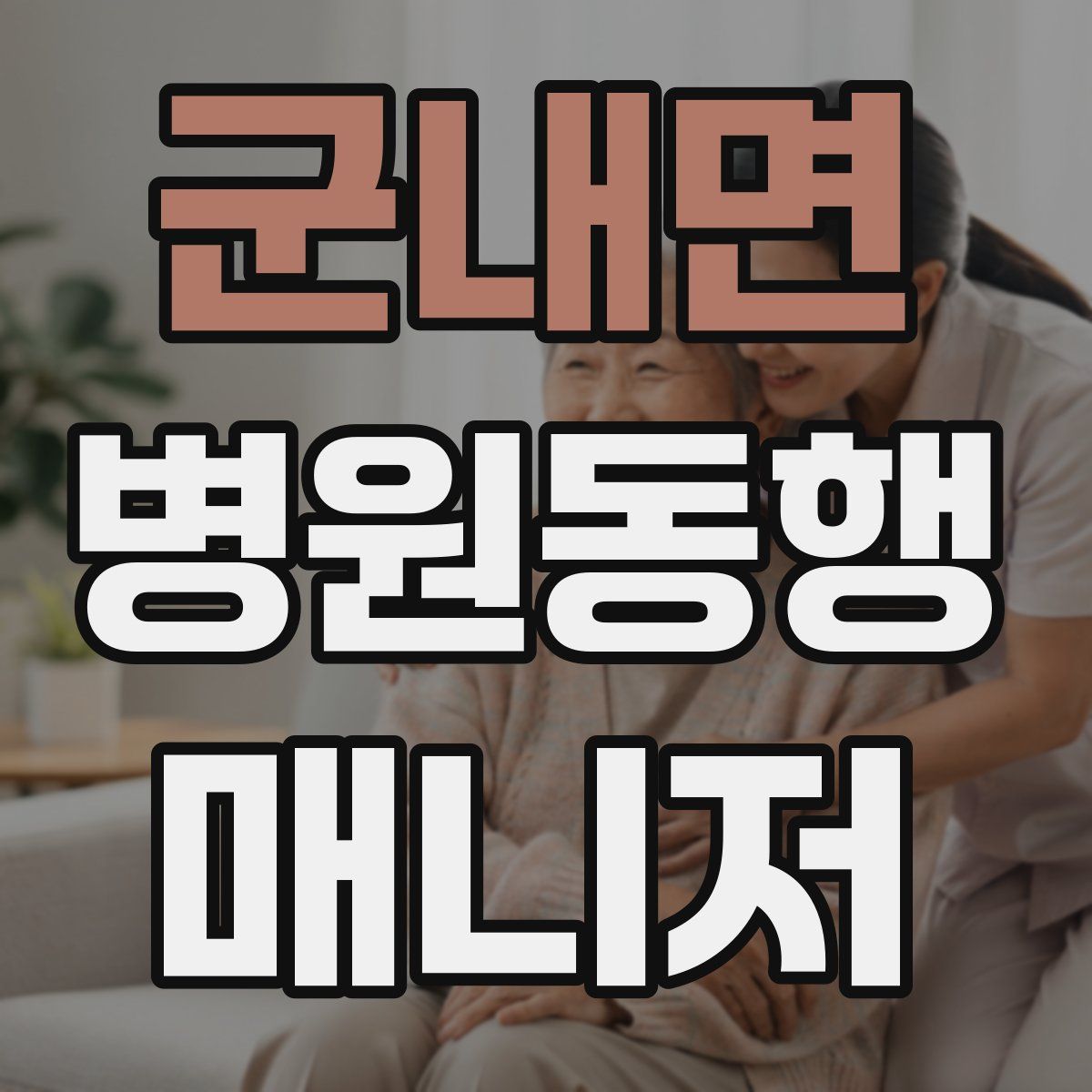 군내면 병원동행매니저 자격증