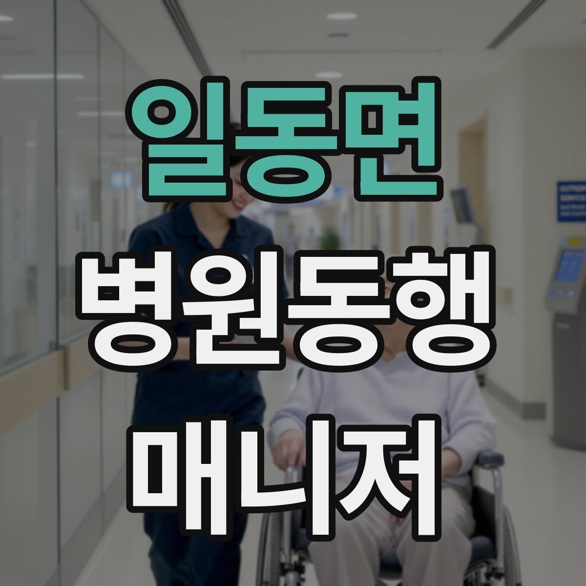 일동면 병원동행매니저 자격증 과정 선택 전에 확인해야 할 안내문