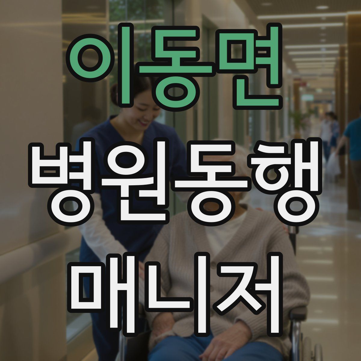 이동면 병원동행매니저 자격증