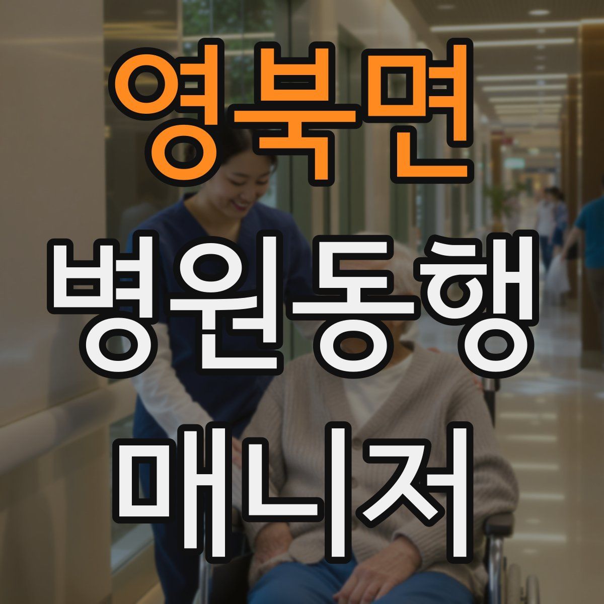 영북면 병원동행매니저 자격증