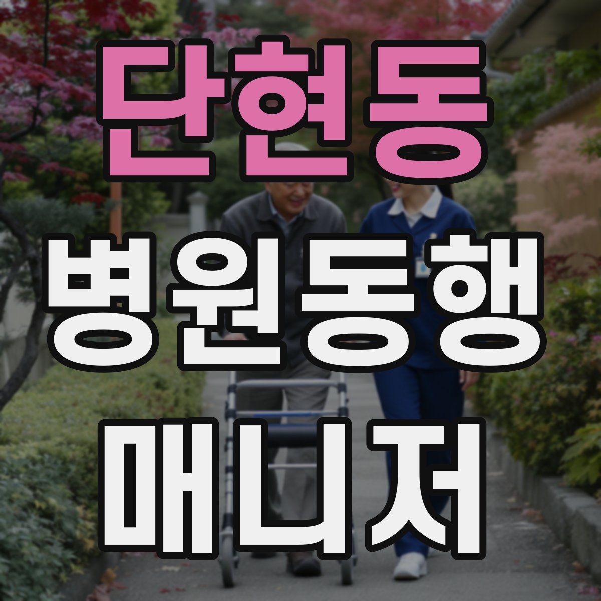 단현동 병원동행매니저 자격증