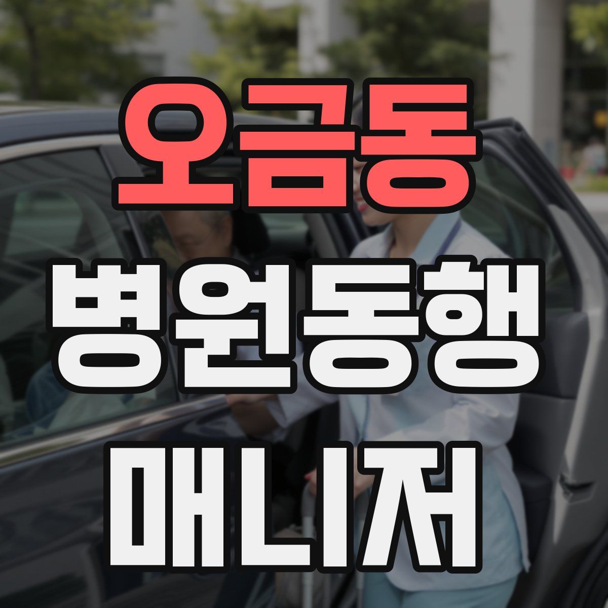 오금동 병원동행매니저 자격증