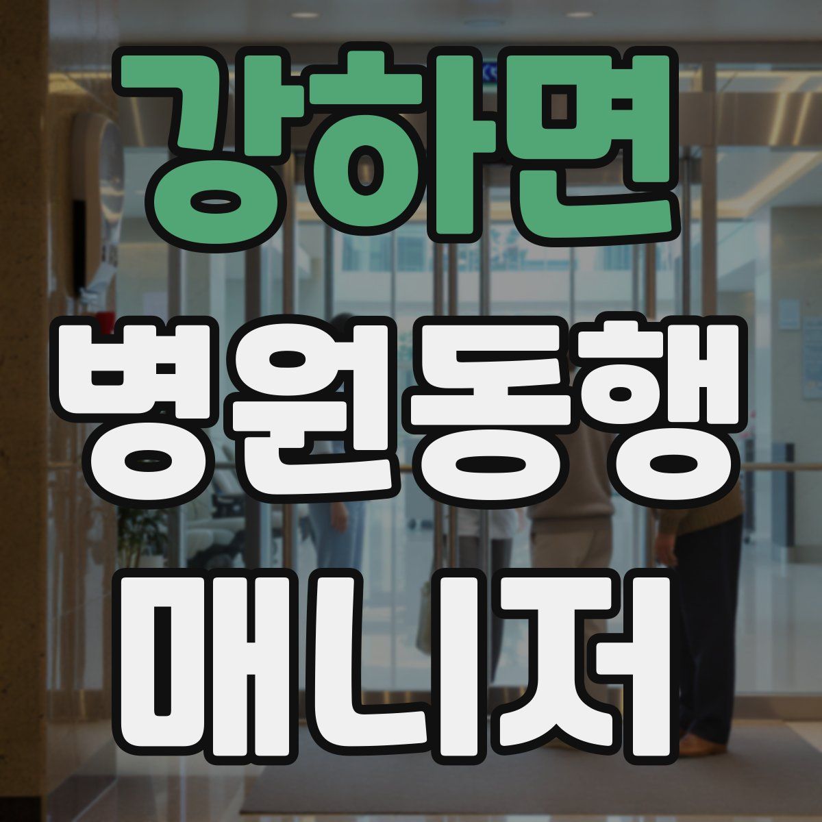 강하면 병원동행매니저 자격증