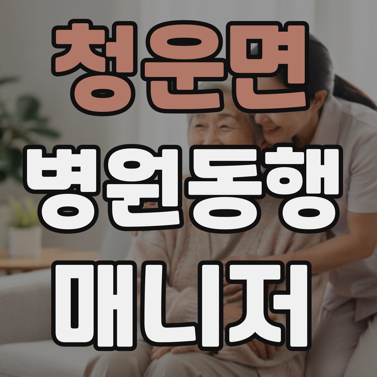 청운면 병원동행매니저 자격증