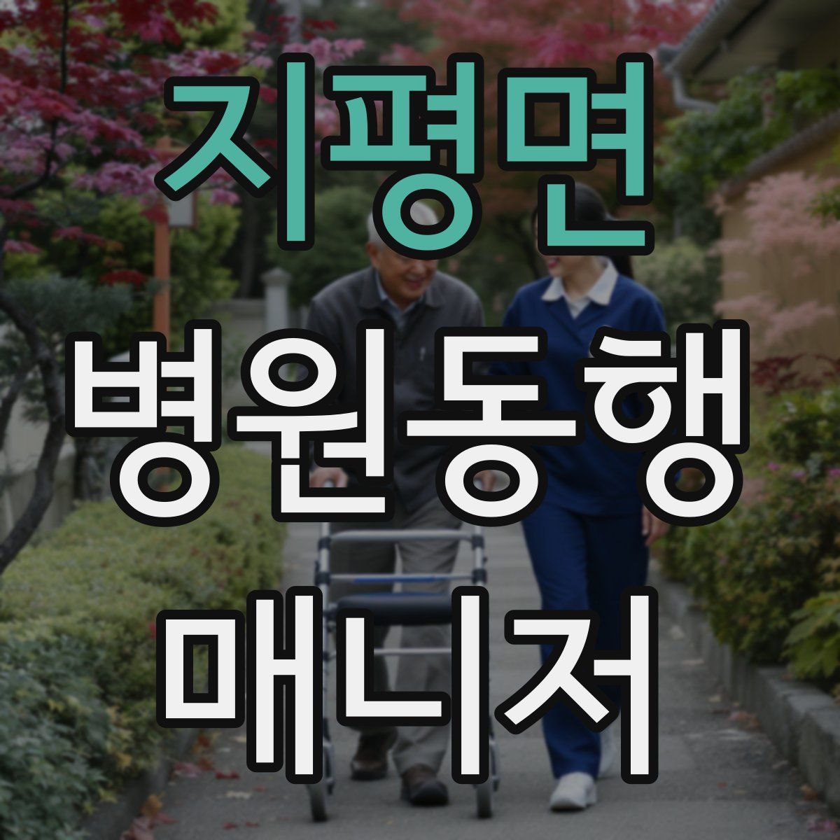 지평면 병원동행매니저 자격증