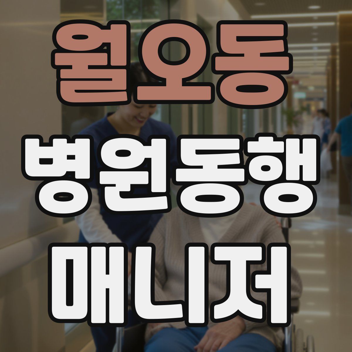 월오동 병원동행매니저 자격증