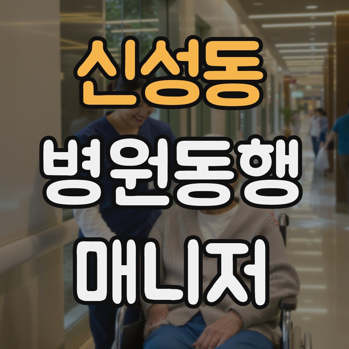 신성동 병원동행매니저 자격증