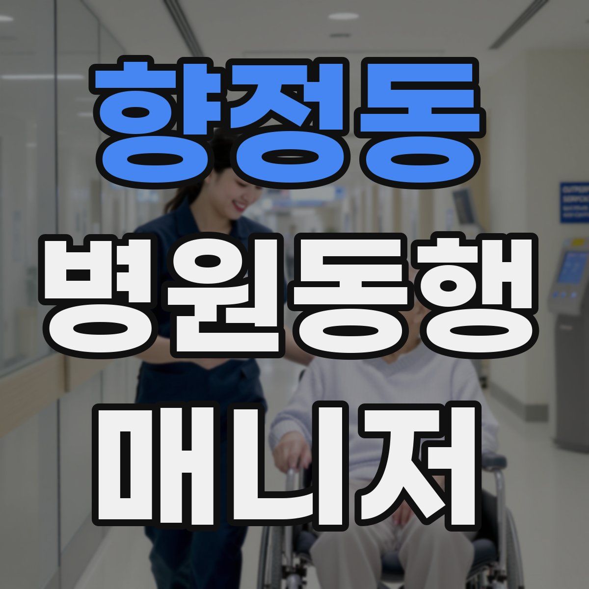 향정동 병원동행매니저 자격증