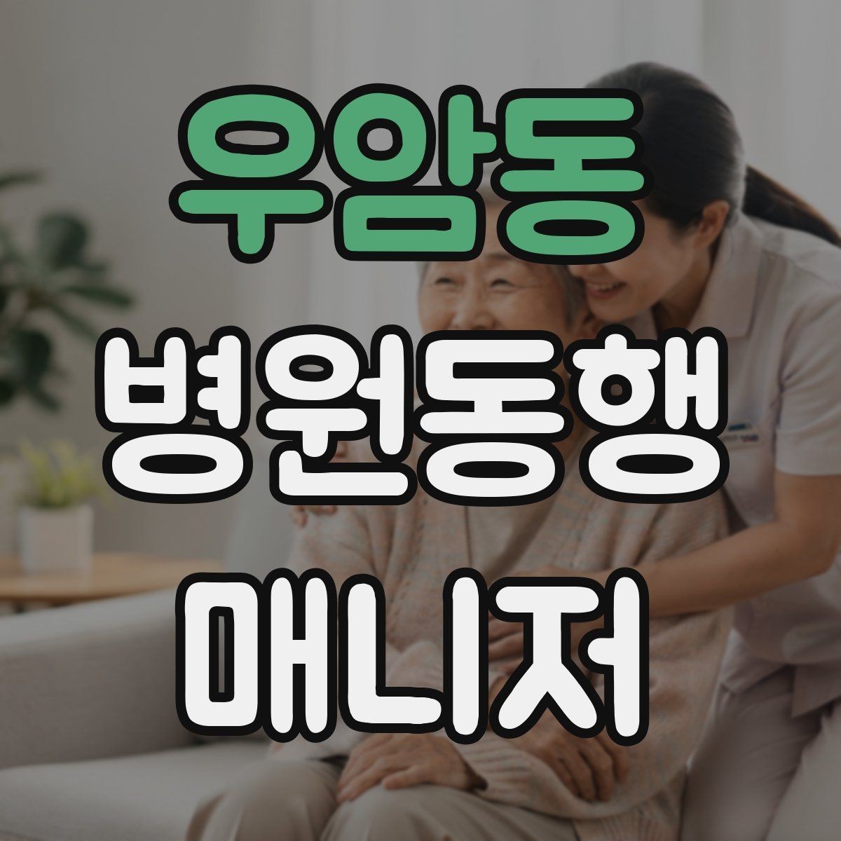 우암동 병원동행매니저 자격증 일정 확정 전 확인 질문 리스트