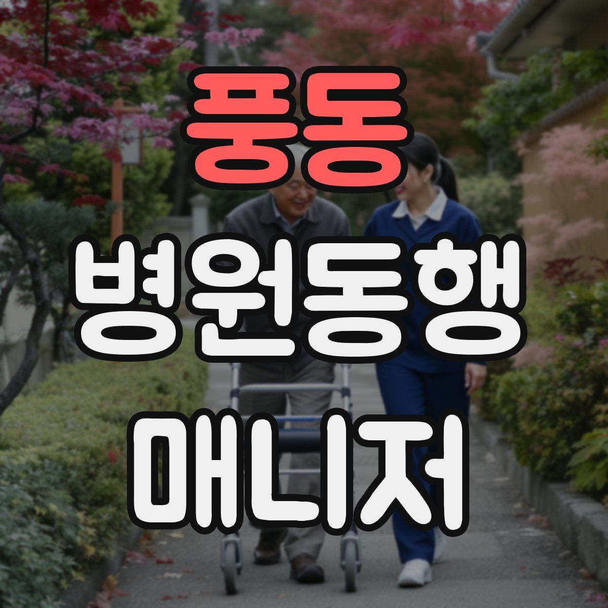 풍동 병원동행매니저 자격증