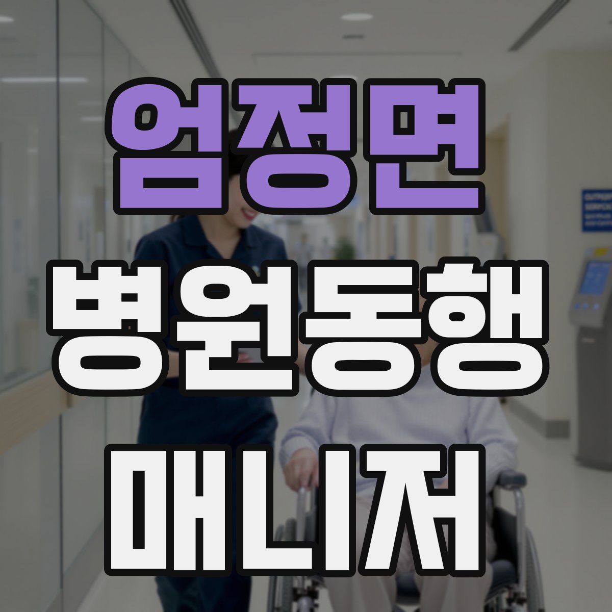 엄정면 병원동행매니저 자격증