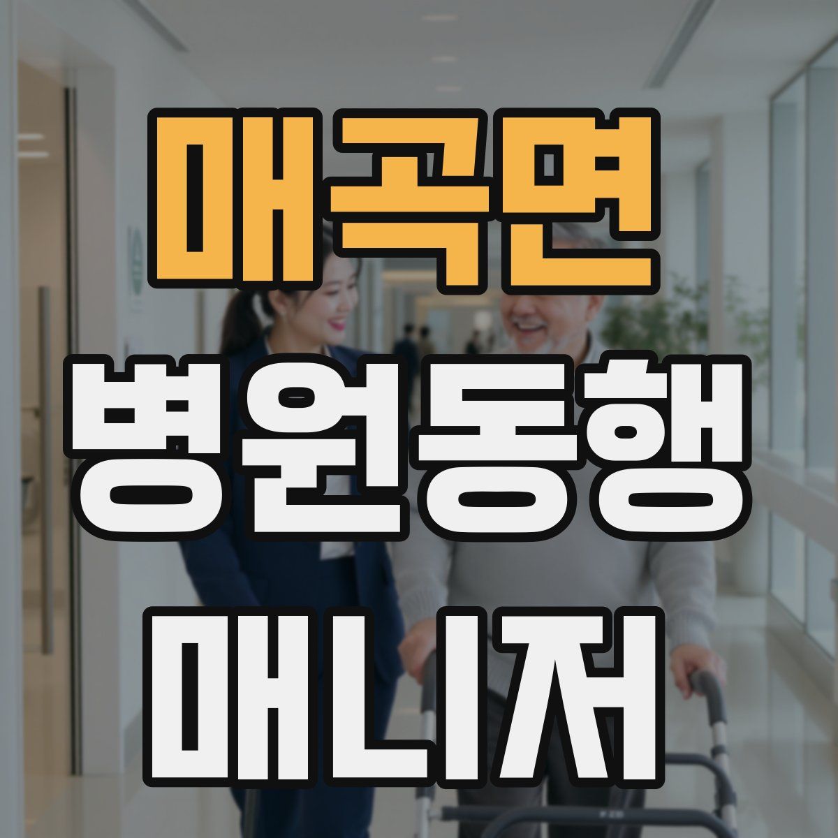 매곡면 병원동행매니저 자격증