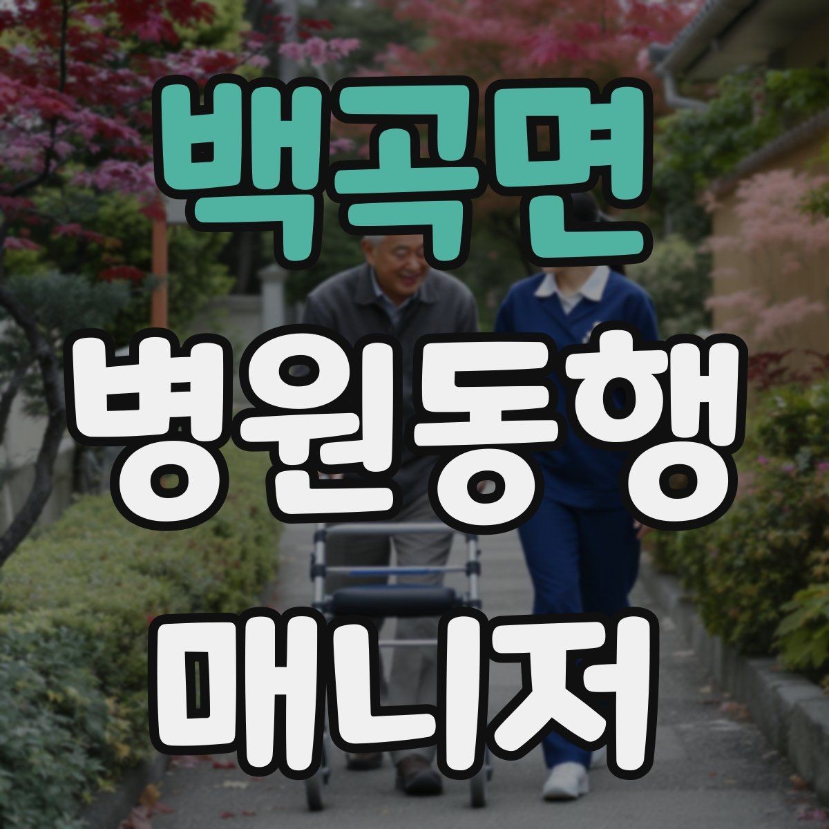 백곡면 병원동행매니저 자격증 취득하면 가능한 활동 범위는 어디까지일까