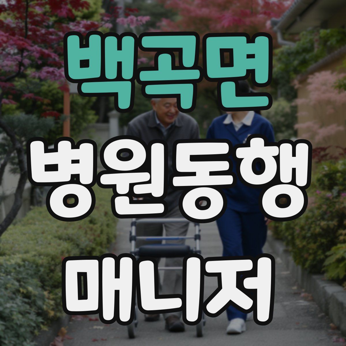 백곡면 병원동행매니저 자격증