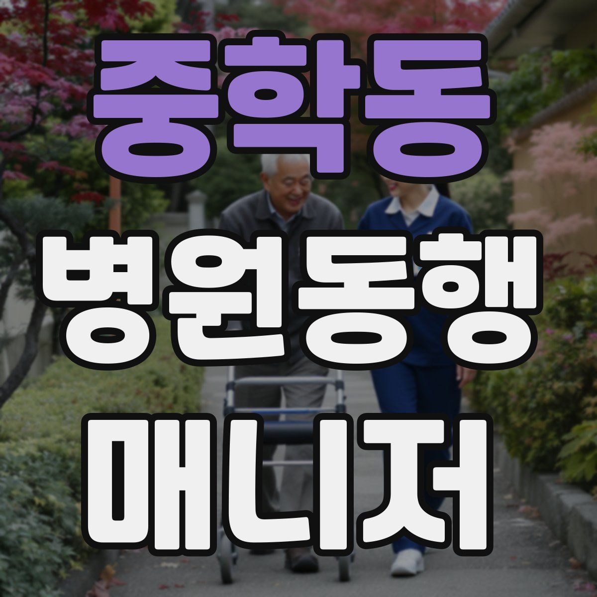 중학동 병원동행매니저 자격증