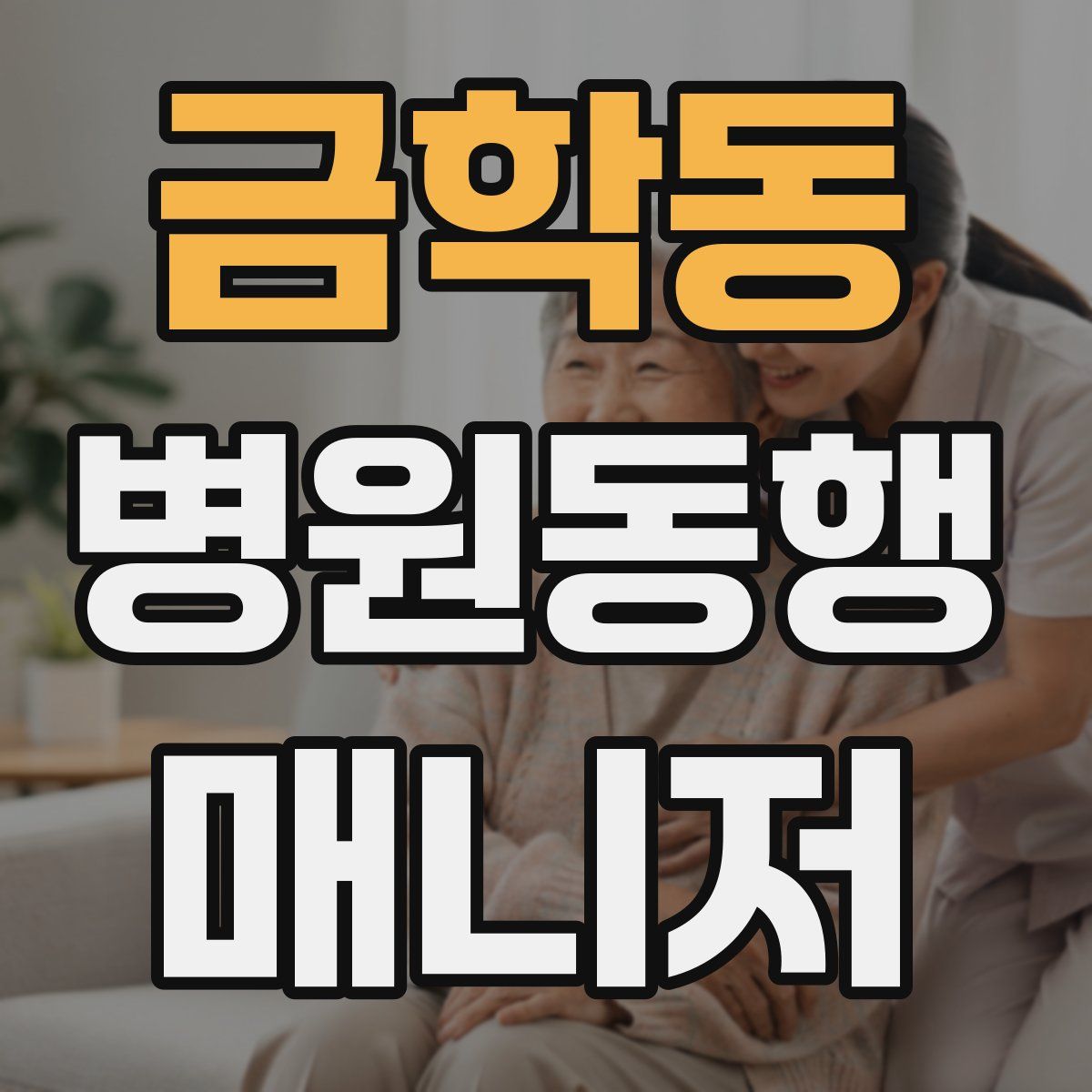 금학동 병원동행매니저 자격증