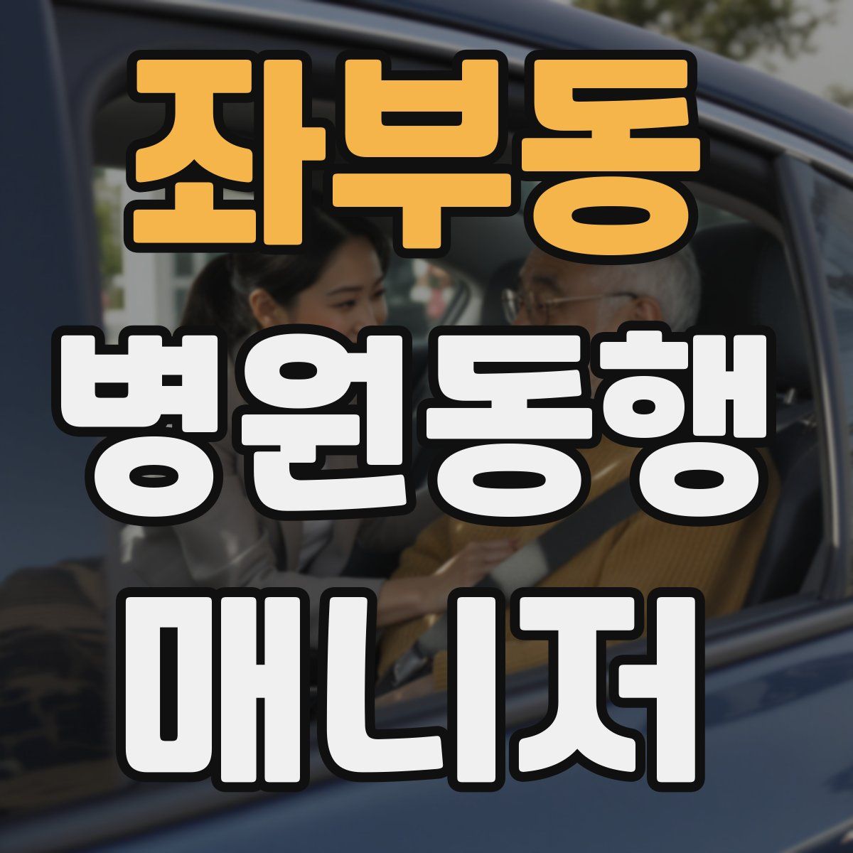 좌부동 병원동행매니저 자격증