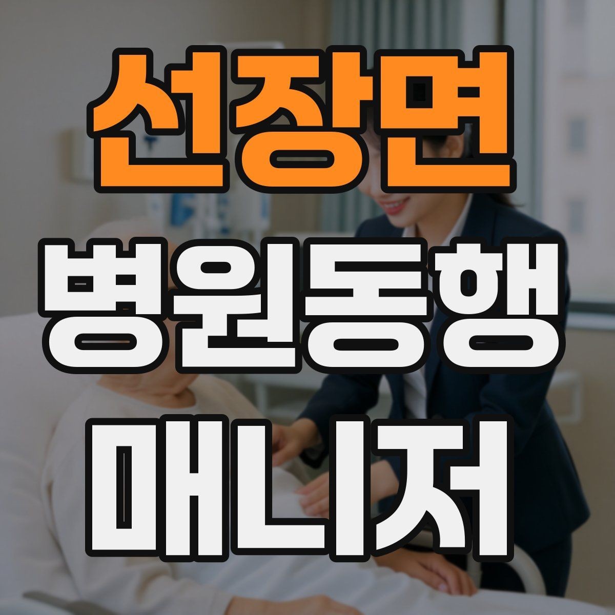 선장면 병원동행매니저 자격증 취득 후 활동을 시작하는 순서